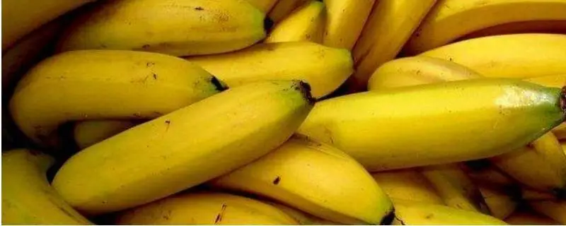 香蕉可以冷藏吗